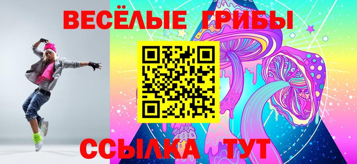 Псилоцибиновые грибы GOLDEN TEACHER Костомукша