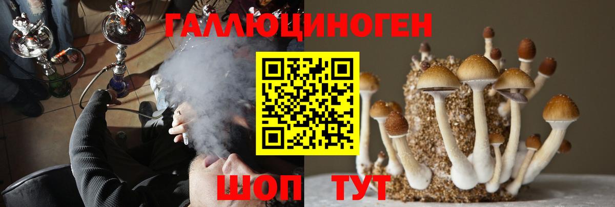 Псилоцибиновые грибы прущие грибы  Вход с VPN  Костомукша 